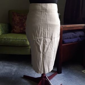 NWT theory skirt
